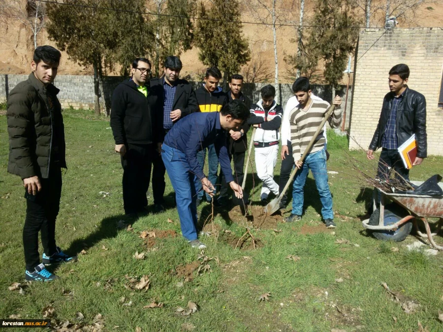 حرکت زیبا و خود جوش دانشجویان در کاشت نهال در روز درختکاری  2