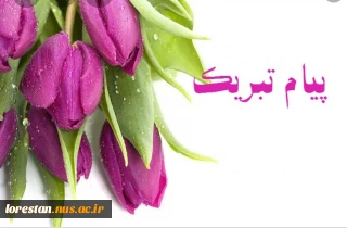 تبریک به دانشجوی نخبه لرستانی