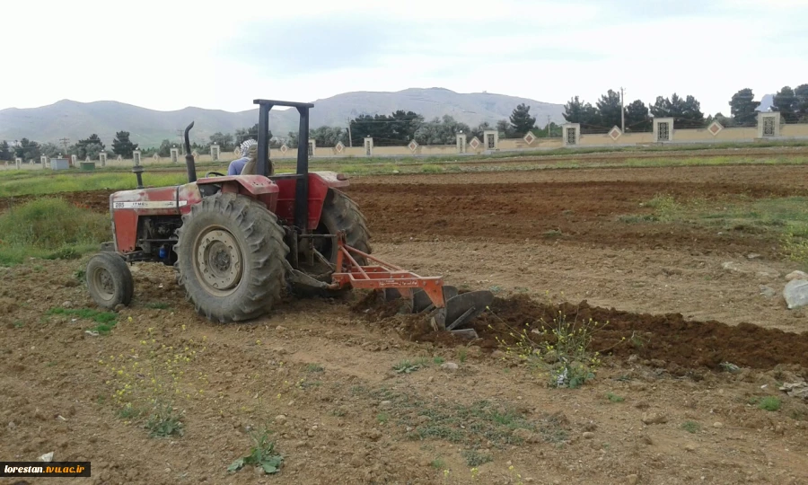 به زیر کشت رفتن چندین هکتار از زمین های دانشگاه فنی و حرفه ای استان لرستان  2