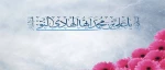 ولادت امام علی النقی الهادی (ع) 2