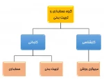 رشته ها و سرفصل دروس گروه حسابداری و تربیت بدنی 2