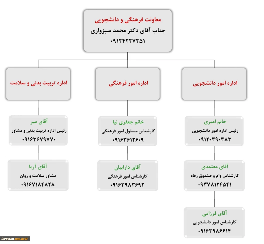 چارت سازمانی 2