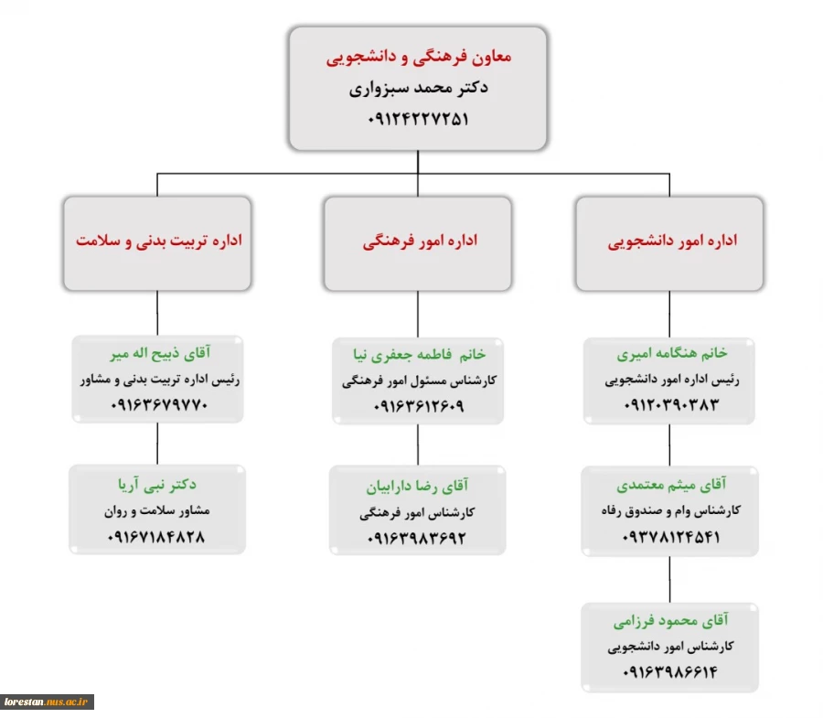 چارت سازمانی 3