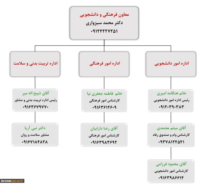 چارت معاونت دانشجویی