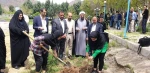 آیین کاشت ۱۱۵ نهال به نیابت ۱۱۵ دانشجوی شهید استان لرستان در بوستان شهید گمنام دانشگاه فنی و حرفه ای استان لرستان برگزار شد. 7