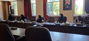 برگزاری جلسه هم‌اندیشی در دانشگاه ملی مهارت استان لرستان برای اجرای تفاهم‌نامه همکاری با دانشگاه لرستان 4